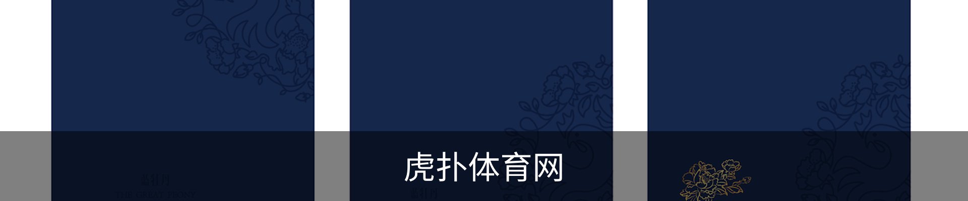 内页banner